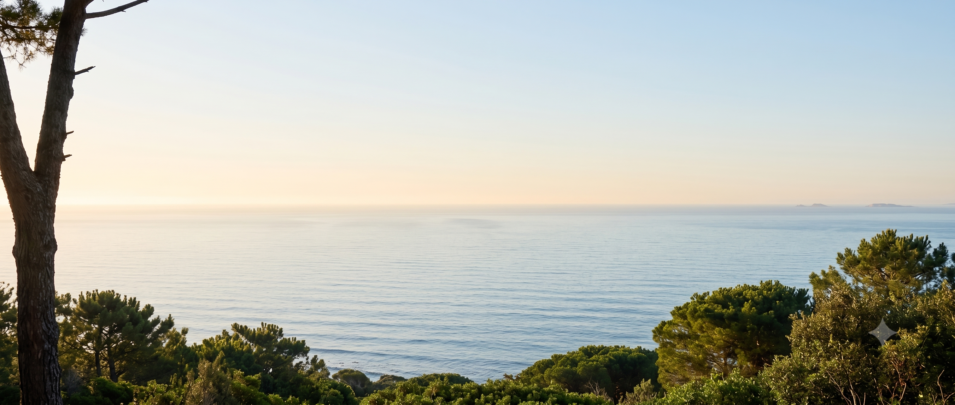 Somatic Grounding Horizon